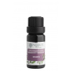 Nobilis Tilia Zmes éterických olejov Imunita 10 ml