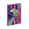 BAAGL A-30421 Chameleon, box na zošity A4, s gumičkou