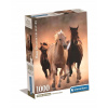 Clementoni Běžící koně 1000 dielov