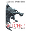 The Last Wish - Andrzej Sapkowski