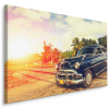 Obrázok čierny retro Palmia auto 90x60 (Obrázok čierny retro Palmia auto 90x60)