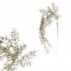 Autronic Asparagus - umelá previsnutá vevev, farba strieborná NL0071-SIL