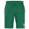 Pánske šortky Björn Borg Essential Shorts - verdant green - Zelený (XXL)