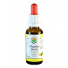 Salvia Paradise Pampeliška lékařská AF tinktura 30 ml