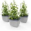 Gusta Garden GG-120F11
