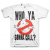 Pánské tričko Krotitelé duchů Who Ya Gonna Call? XXXXL