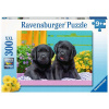 RAVENSBURGER Černí labradoři XXL 300 dielov