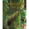 Ayahuasca jako lék - zkušenosti a léčení - Metzner Ralph