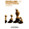 Excelling at Positional Chess