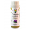 Salvia Paradise Ostropestřec silymarin standardizovaný extrakt 100 kapsúl