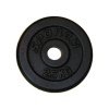 Spokey Litinový kotouč SINIS 2,5 kg 29mm