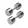 Pevné bitúmenové činky Spartan Sport 2 x 4 kg