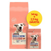 PURINA NESTLE PURINA Dog Chow Sensitive Salmon - suché krmivo pre psov - 14 + 2 5 kg