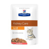 Hill's Diet k/d Kidney Care Salmon kapsička pre mačky 12 x 85 g