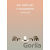 Dos tortugas y un sombrero - Jon Klassen