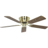CasaFan FLAT 132-III MG-EA/BU Flügel Eiche antik/Buche stropný ventilátor, 69 W, (Ø x v) 132 cm x 164 mm, mosadzná (kartáčovaná), 5132045; 5132045