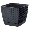 Prosperplast RATOLLA SQUARE s miskou 6l ratan antracit DRLK220