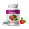 ❤️ MycoMedica Acerola | PRÍRODNÝ ZDROJ VITAMÍNU C ❤️ AKCIA: ✅ od 2 ks 📉 - 7 % až - 13 % ZĽAVA ❤️ 90 rastlinných kapsúl po 500 mg extraktu ❤️ MycoMedica® - KVALITNÉ Prírodné výživové doplnky, si