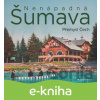 E-kniha Nenápadná Šumava - Přemysl Čech