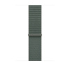 Apple 46mm Sage Sport Loop