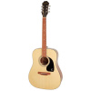 EPIPHONE Songmaker DR-100 Square Shoulder NA