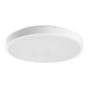 Rabalux LED stropné svietidlo Alenzo | 18W integrovaný LED zdroj | 1250lm | 3000K+4000K+6500K, 71426