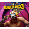 Borderlands 3 EU PC Steam CD Key