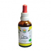 Saw palmetto (Serenoa plazivá) standardizovaný extrakt 50ml Salvia Paradise