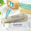 Ganozhi zubná pasta (150g)
