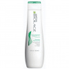 Matrix Scalpsync Šampón proti lupinám 250 ml