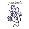 Pandezie