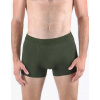 Pánské boxerky s kratší nohavičkou GINO 73126P lahvová XL/XXL