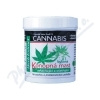 VIVACO HerbExtract Cannabis konopná mast 125ml