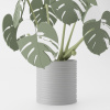 Monstera Magnetica – 3D Tlačená Dekorácia & Podložky pod Poháre Farba listov: zelená, Vyber typ kvetináča: Wave, Vyber farbu kvetináča: šedá