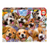 Puzzle Puppies Selfie Educa 1000 dielov a Fix lepidlo