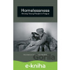 E-kniha Homelessness among Young People in Prague - Marie Vágnerová, Ladislav Csémy, Jakub Marek