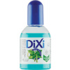 DIXI Voda na vlasy proti lupinám breza - žihľava, 125 ml