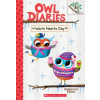 Warm Hearts Day: A Branches Book (Owl Diaries #5)