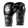 BUSHIDO Boxerské rukavice DBX Warrior BLACK - 10oz.