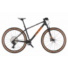Horský bicykel KTM Myroon Master Carbon Matt 17/M
