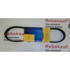 Drážkový řemen ALFA ROMEO - FIAT HYUNDAI - LANCIA (4PK0770 ALFA ROMEO 60575209 ALFA ROMEO 60808219 ALFA ROMEO 60809019 FIAT 60575209 HYUNDAI 2521202500 LANCIA 60575208 LANCIA 60575209 TOYOTA 993640077
