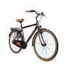 Mestsky bicykel - Indiana Storica 140 28 palcov City Bike (Indiana Storica 140 28 palcov City Bike)