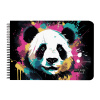 Karton P+P Skicár so špirálou A3 tw 40 listov 190g Panda