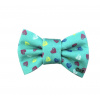 Funky Dog Motýlik so srdiečkami tyrkys Veľkosť: S 6cm