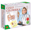 Arkádová hra Telo človeka Kvíz Alexander