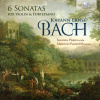 J.E. Bach: 6 Sonatas for Violin & Fortepiano (CD) (Susanna Pisana, Maurizio Paciariello)