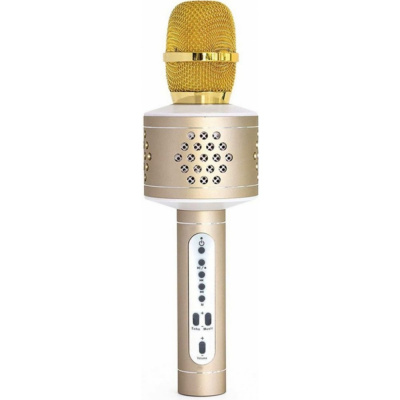Teddies Mikrofón karaoke Bluetooth na batérie s USB káblom Zlatý