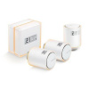 Netatmo Smart Thermostat + 3 Additional Smart Radiator Valves