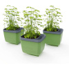 Gusta Garden GG-122F11