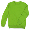 Mikina STEDMAN ACTIVE SWEATSHIRT MEN Kiwi Green zelená M